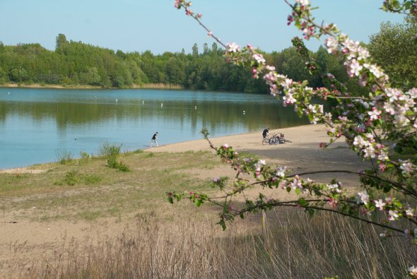 Costa Kiesa, See,  im Frühling bei sonnigem Wetter