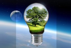 Glühbirne mit grünem Baum vor Erde und Mond im Weltall